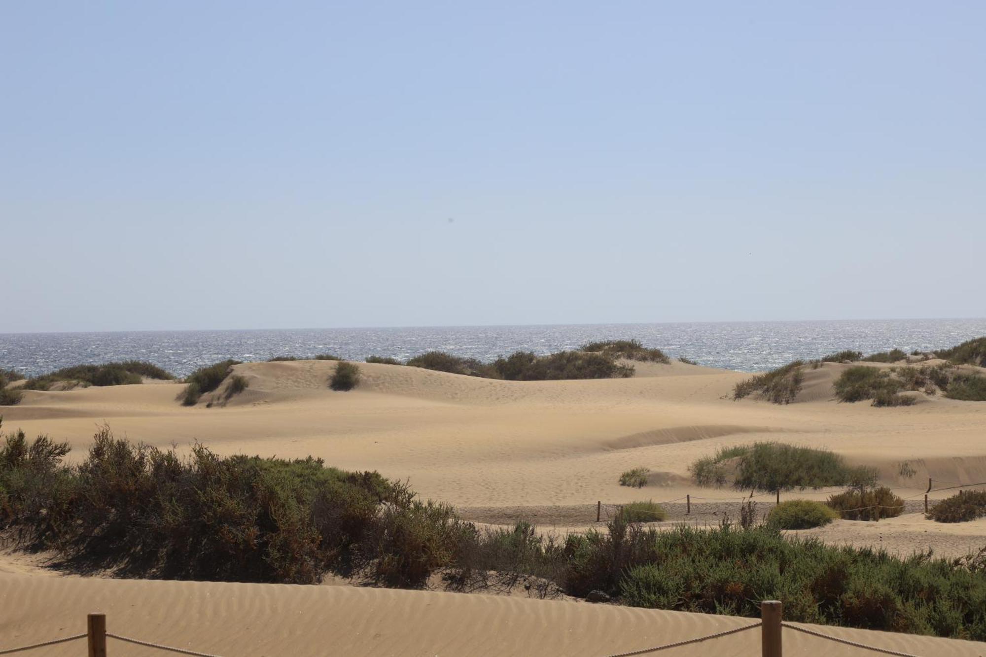 Confortevole Appartamento Playa Del Ingles Maspalomas  Exterior foto