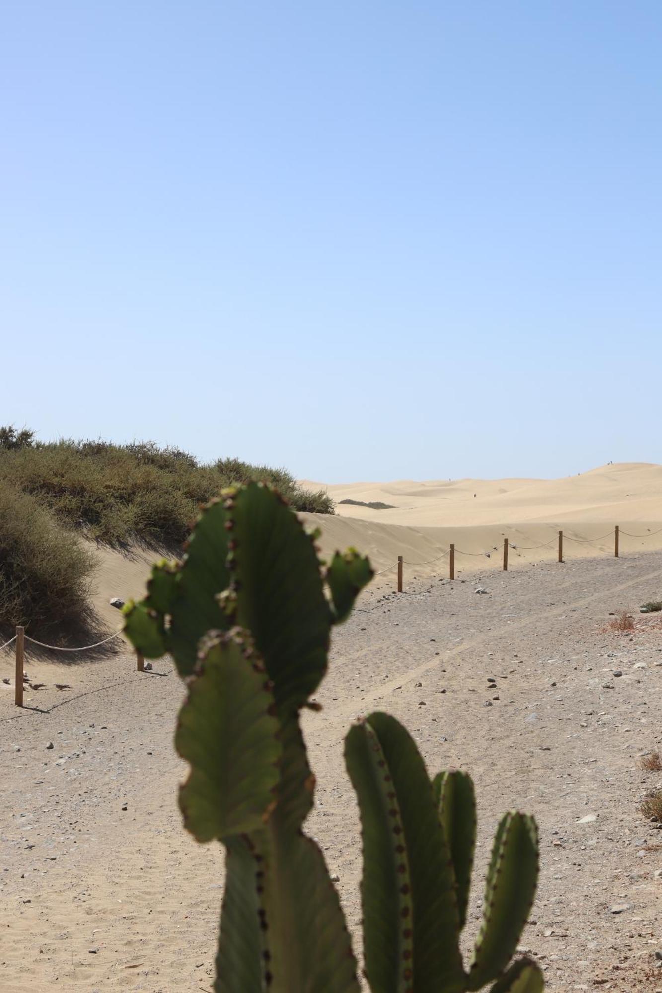 Confortevole Appartamento Playa Del Ingles Maspalomas  Exterior foto